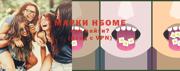 сатива Богородицк