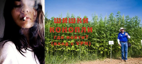 крисы Богородск