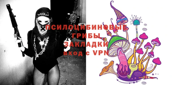 сатива Богородицк