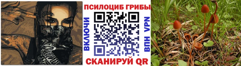 ОМГ ОМГ маркетплейс  Карталы  Галлюциногенные грибы Psilocybe 